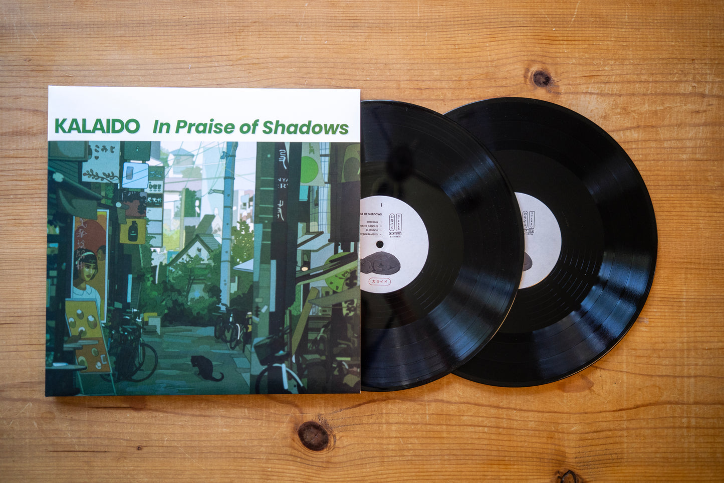 In Praise of Shadows Vinyl